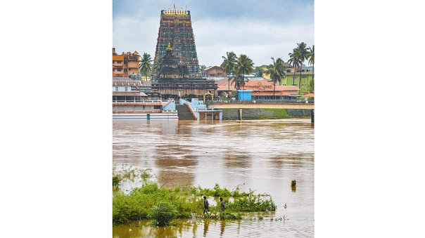 <div class="paragraphs"><p>River Tunga is in spate in Sringeri</p></div>